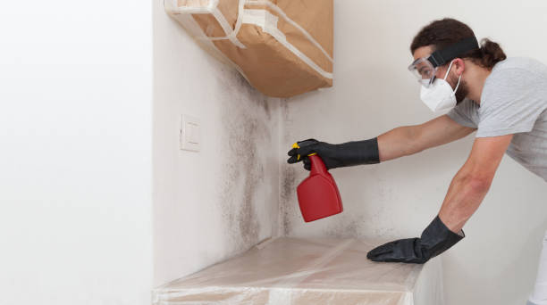 Professional Crawl Space Mold Removal technician working in Benson, MN
