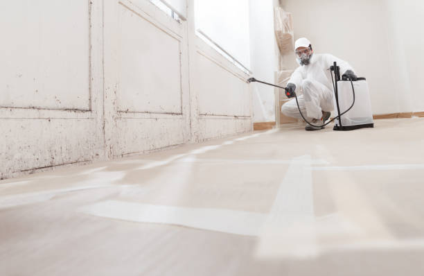24/7 Emergency Crawl Space Mold Removal experts in Benson, MN