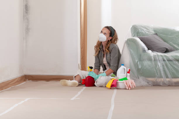 Reliable Crawl Space Mold Removal contractor in Benson, MN by WQB Mold Removal